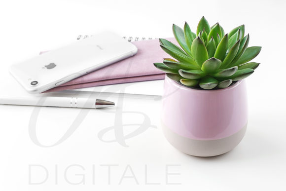Download Feminine Styled Desktop Mockup - Mini Collection
